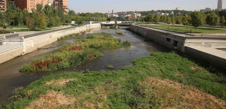 Renaturalización Manzanares