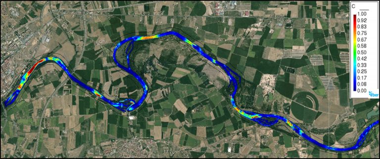 Assessment of the Physical Habitat Suitability (PHS) for three autochthonous fish species in the Duero River (Spain) with the modelling tool IberHABITAT
